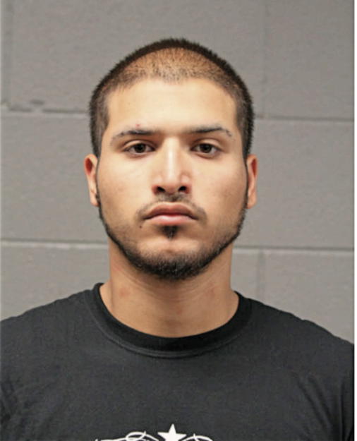 JULIAN N KADAN, Cook County, Illinois