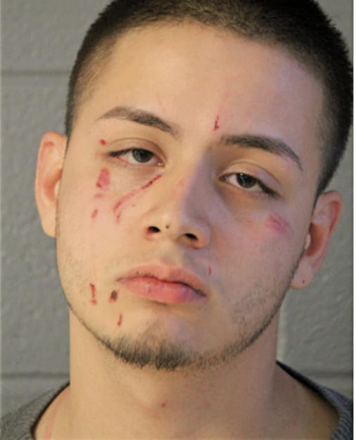 DAVID J LOZANO, Cook County, Illinois
