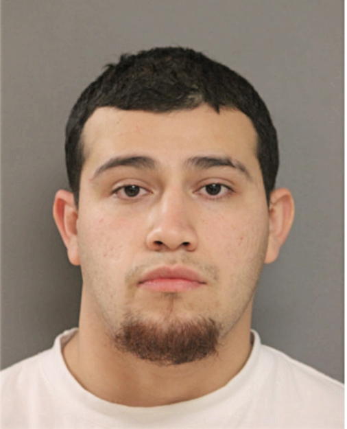 PEDRO G MARTINEZ, Cook County, Illinois