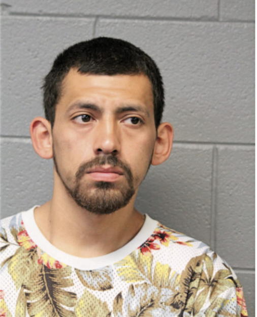 JOSEPH MEGAREJO, Cook County, Illinois