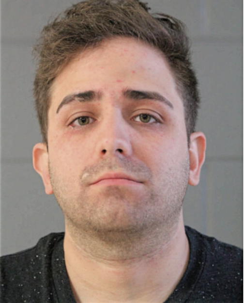 JONATHAN M MICHALIK, Cook County, Illinois