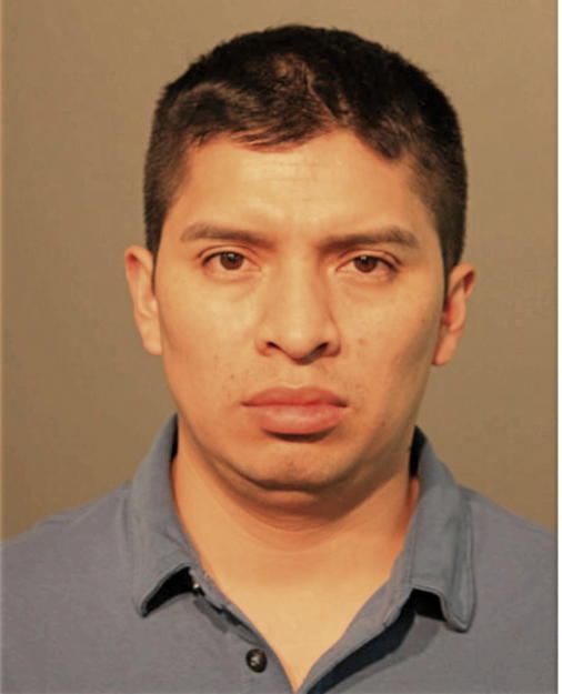 WILLIAM ALFREDO NIOLA BARBECHO, Cook County, Illinois