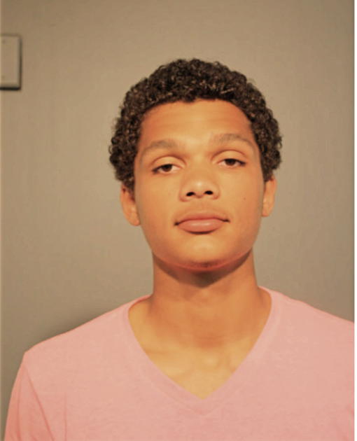 DARRICK L PEARSON, Cook County, Illinois