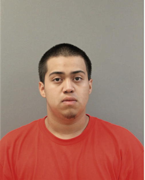 CESAR R PEREZ, Cook County, Illinois