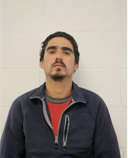 MAGDIEL PORTAL, Cook County, Illinois