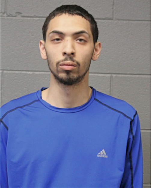 HECTOR REYES, Cook County, Illinois