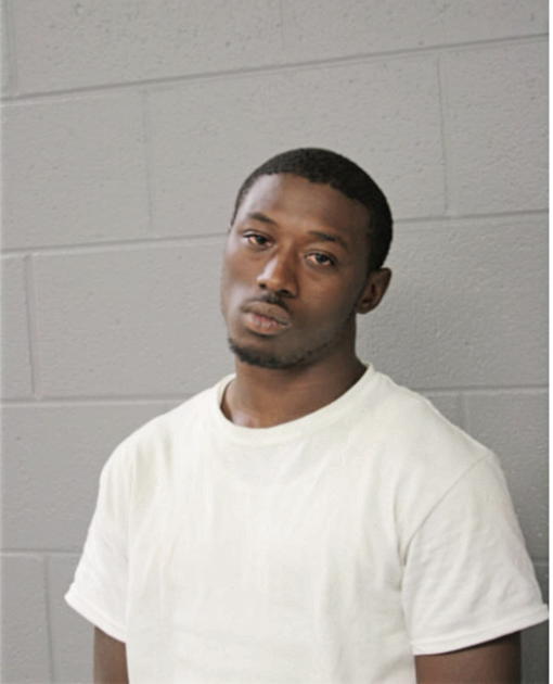 ERIC L WILSON, Cook County, Illinois