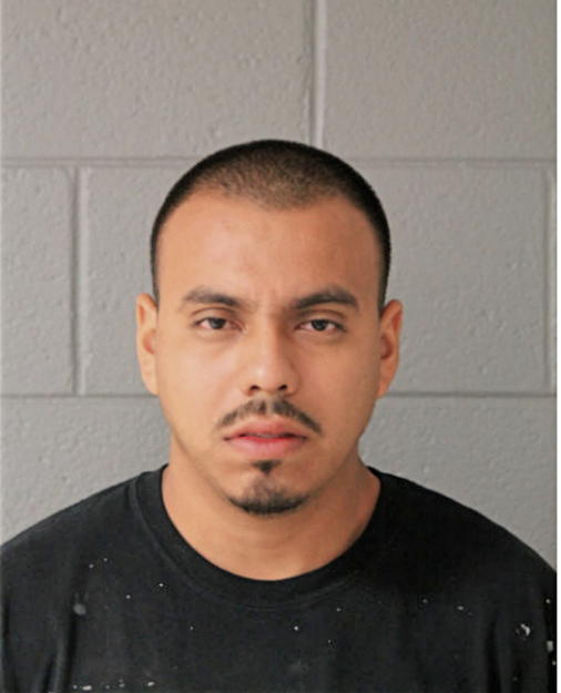 ISIDRO ALEMAN, Cook County, Illinois