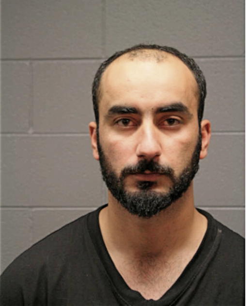 JIHAD ALHALAIGA, Cook County, Illinois