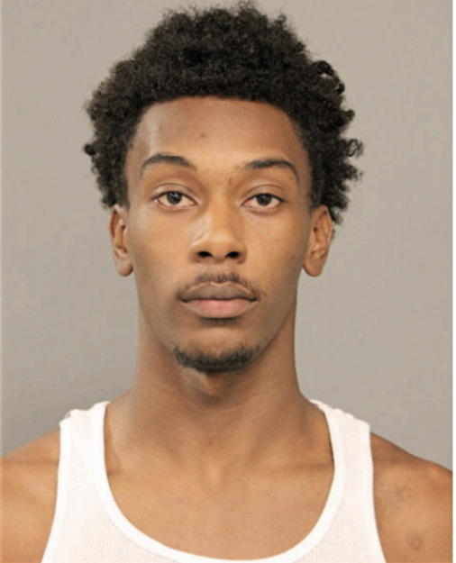 DARION D ALLEN, Cook County, Illinois