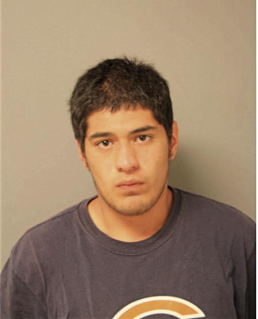 LUCIANO AVILES-MONTES, Cook County, Illinois