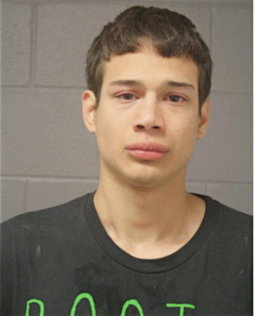 FRANCISCO A BRAVO, Cook County, Illinois