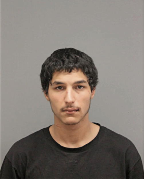 DEVIN B BUNTIC, Cook County, Illinois