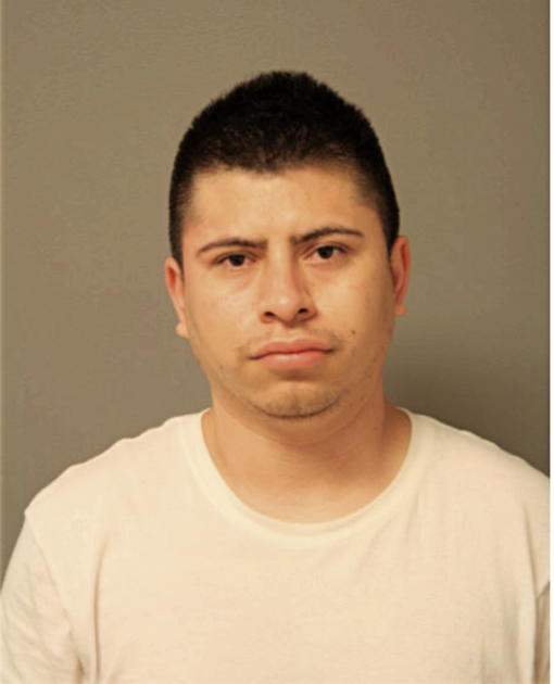 ANDRES CASTANEDA, Cook County, Illinois
