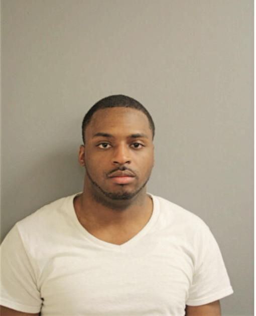 DAVID D FERGUSON, Cook County, Illinois