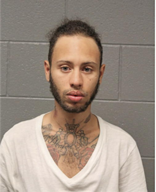 NICHOLAS J GRADY, Cook County, Illinois