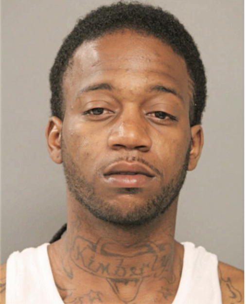 TERRENCE L HOLBROOK, Cook County, Illinois