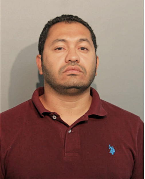 EMAD M IBRAHIM, Cook County, Illinois