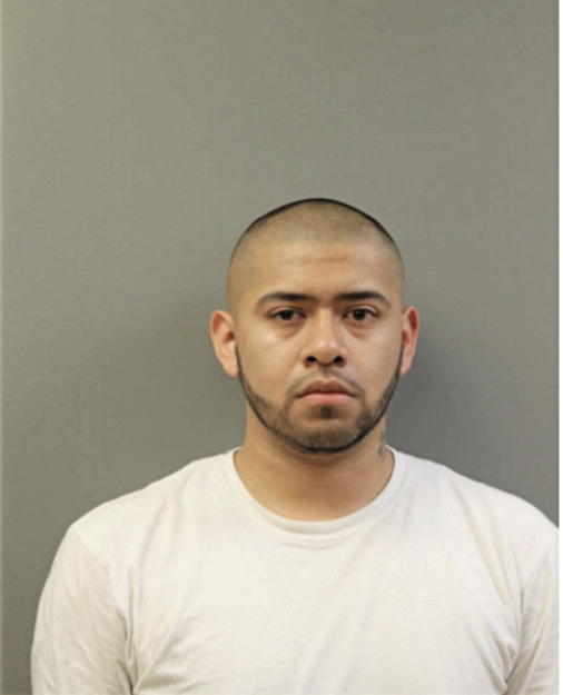 ROBERTO J JIMENEZ-VALLE, Cook County, Illinois