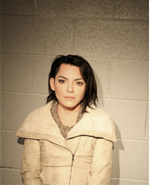 JARA KRYS, Cook County, Illinois