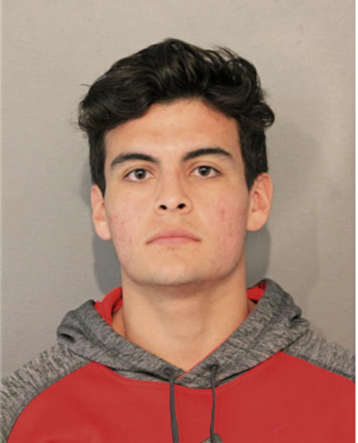STEPHAN LEWIKOWSKI, Cook County, Illinois