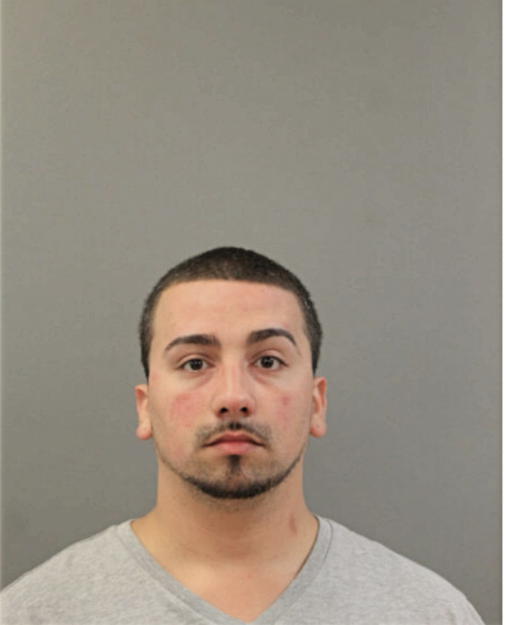 NICHOLAS MALDONADO, Cook County, Illinois