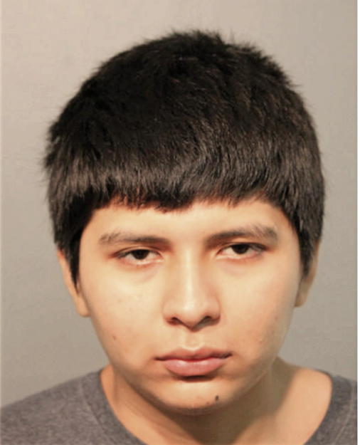 ANGEL ORTIZ, Cook County, Illinois