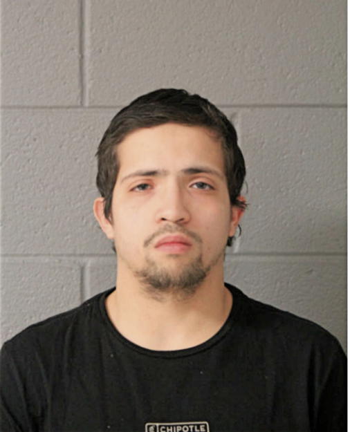 NATHANIEL A POPOLO, Cook County, Illinois