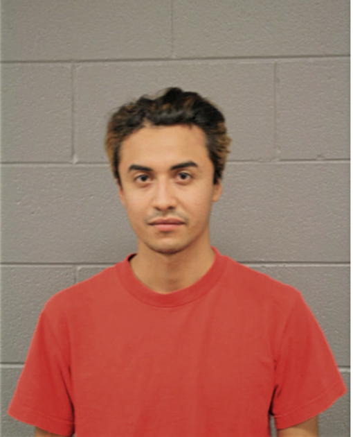 ERICK VILLALVA SALADOS, Cook County, Illinois