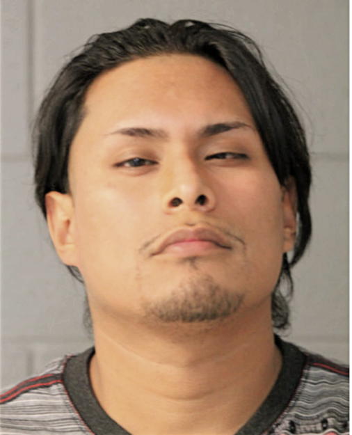 VICTOR H SANDOVAL, Cook County, Illinois