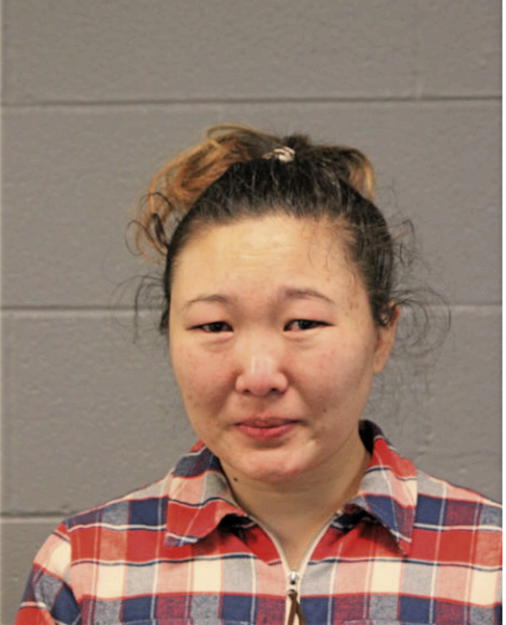 AIPERE SRDATAVA, Cook County, Illinois