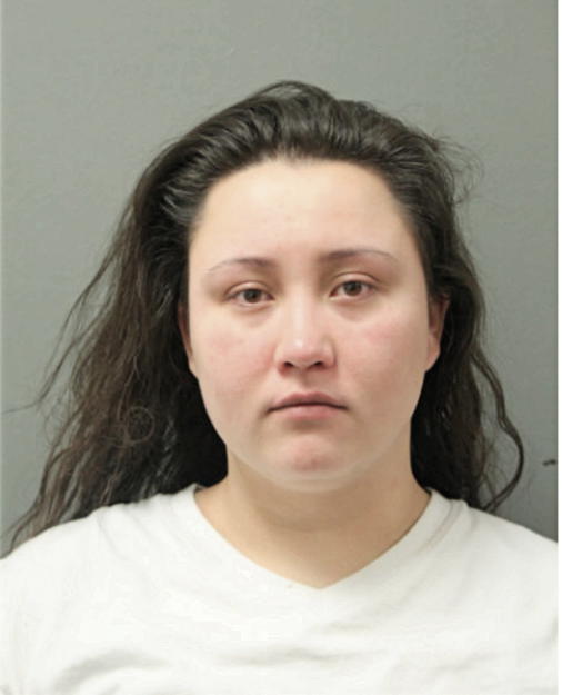 NICOLE S STORM, Cook County, Illinois