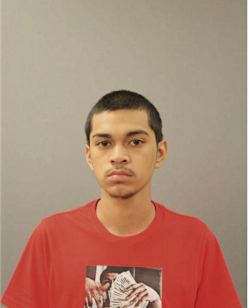 CARLOS MIGUEL VILLAFAN, Cook County, Illinois