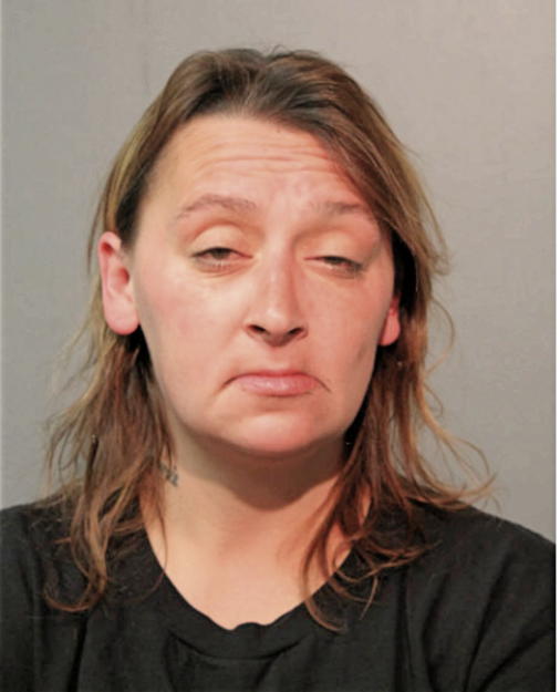 MICHELLE L WARCHOLIK, Cook County, Illinois
