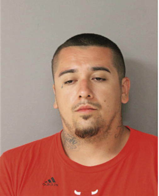 NATHANIEL J AGUILAR, Cook County, Illinois