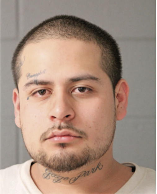 ADRIEL ALVAREZ, Cook County, Illinois