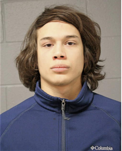 FRANCISCO BRAVO, Cook County, Illinois