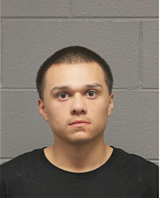 MICHEAL D CANO, Cook County, Illinois