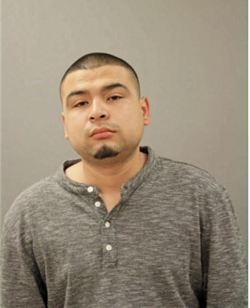 EVARISTO CASTILLO, Cook County, Illinois