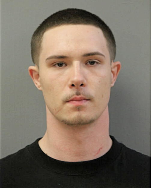 DANIEL E DOUGARD, Cook County, Illinois