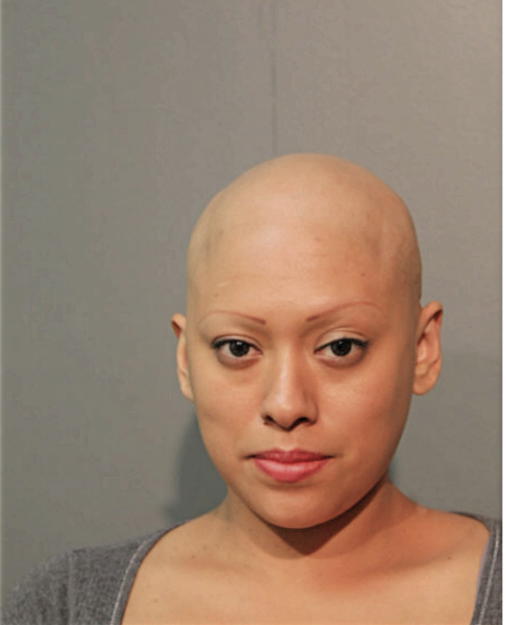 ELVIRA DELGADO GARCIA, Cook County, Illinois