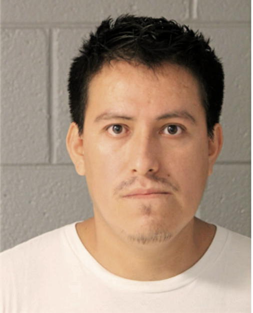 JESUS GARCIA-MENDOZA, Cook County, Illinois
