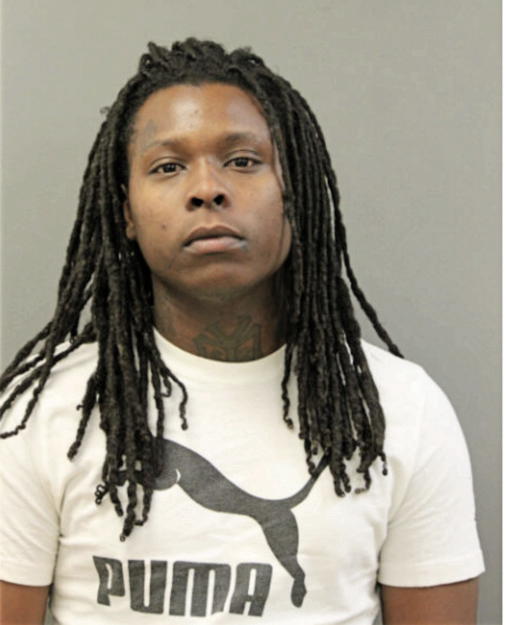 LEDARRYL O GARNER, Cook County, Illinois