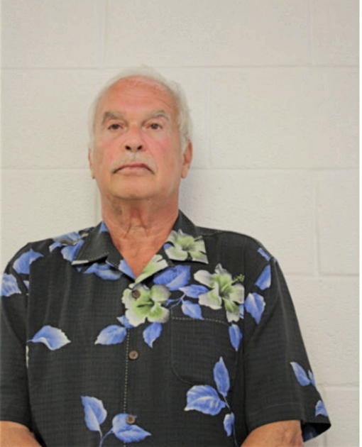 ARTHUR S HILLMAN, Cook County, Illinois