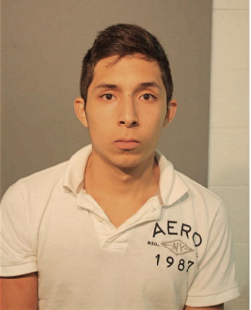LUIS REYES- JIMENEZ, Cook County, Illinois