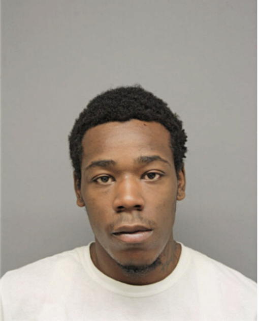 ANDRE L JOHNSON, Cook County, Illinois