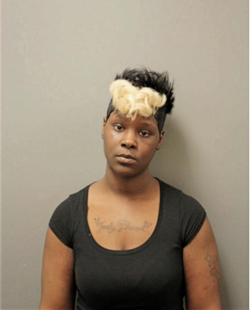 KIERRA P JOHNSON, Cook County, Illinois