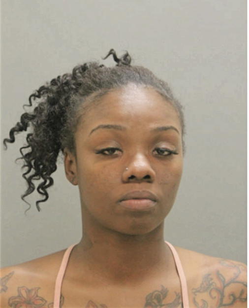 PAIGE S JOHNSON, Cook County, Illinois