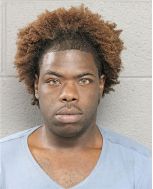 DARLYN E JONES, Cook County, Illinois
