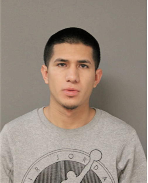 NOE MARTINEZ-REYES, Cook County, Illinois